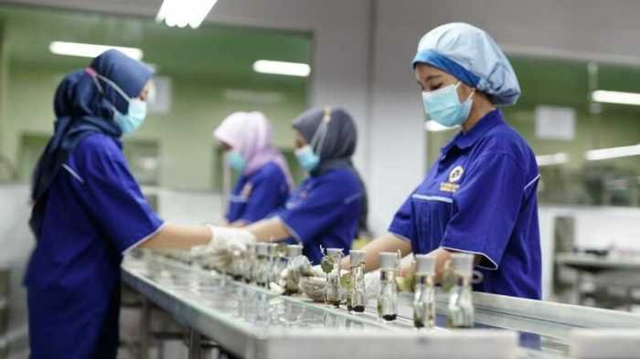 Laba digit tumbuh bidik neraca tbk vici Laba digit tumbuh bidik neraca tbk vici