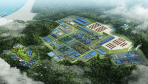 Huayue cobalt glints