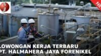 Gaji Menggiurkan di PT Halmahera Jaya Feronikel: Bongkar Struktur dan Besarannya