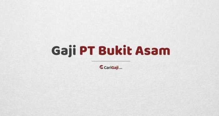 Gaji pt bukit asam