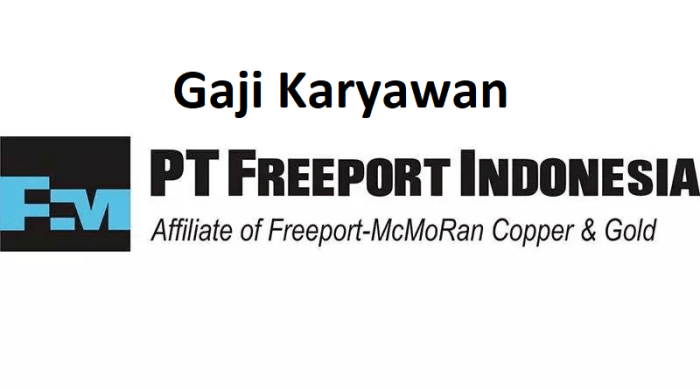 Karyawan freeport gaji