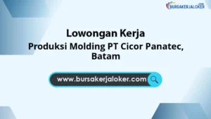 Produksi Molding PT Cicor Panatec, Batam